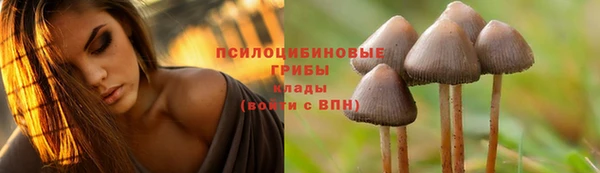 стафф Арсеньев
