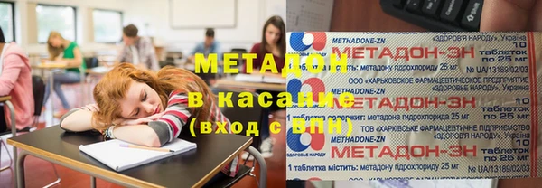 индика Аркадак