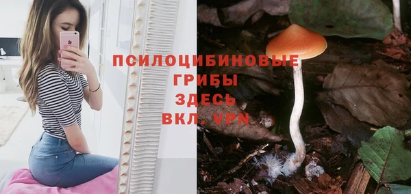 трава Алексин