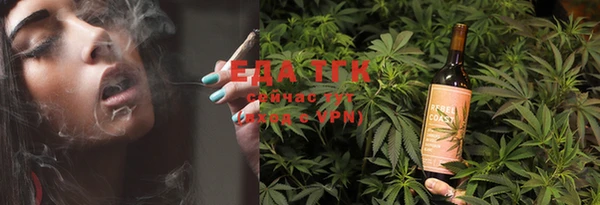 индика Аркадак