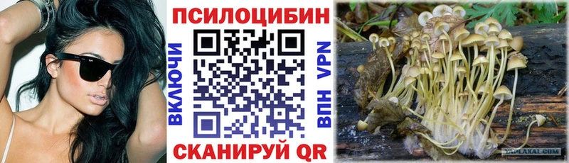 Псилоцибиновые грибы MAGIC MUSHROOMS  наркота  кракен tor  Южно-Сухокумск 